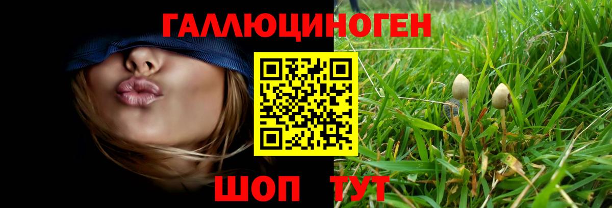 Галлюциногенные грибы MAGIC MUSHROOMS Юрга